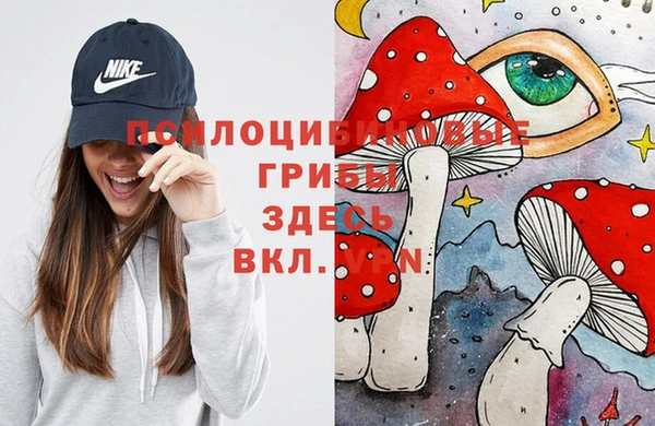 ешки Алзамай