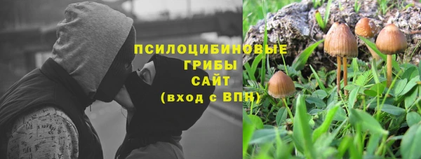 spice Алексеевка