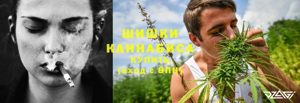 ешки Алзамай